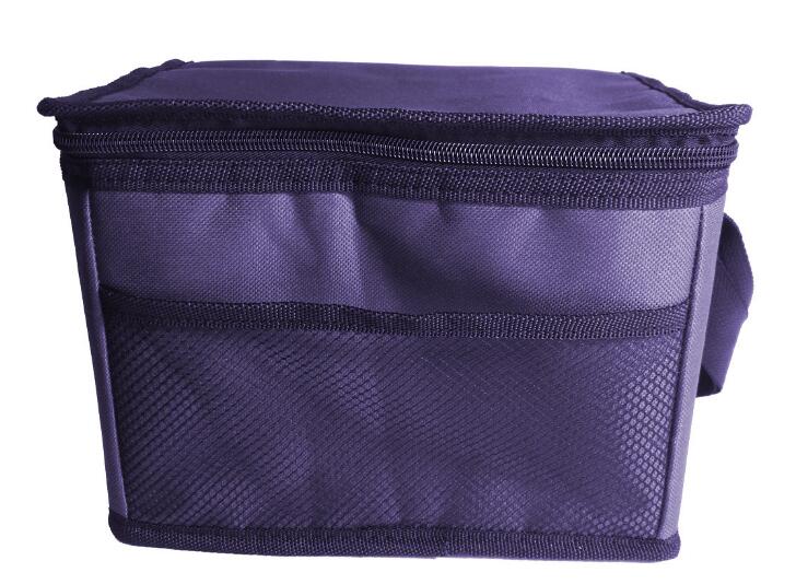 Car cooler bag(图1)