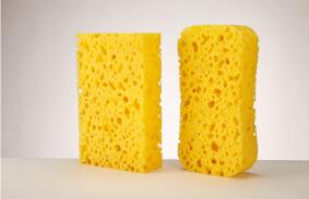 Oval Shape Sponge(图2)