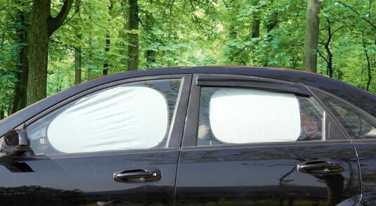 Sun Shade(图3)