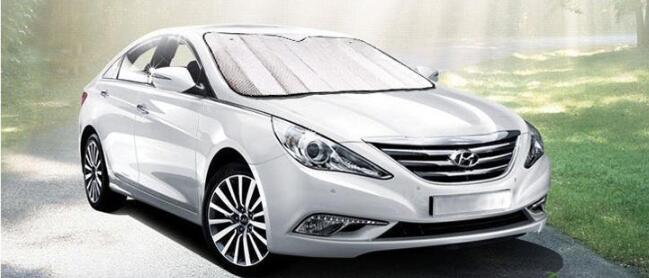 Sun Shade(图3)