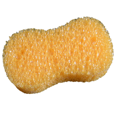 PVA SPONGE