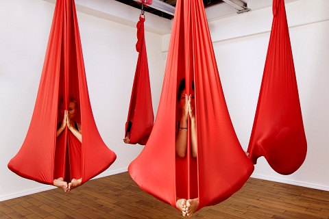 Yoga Swing/Hammock